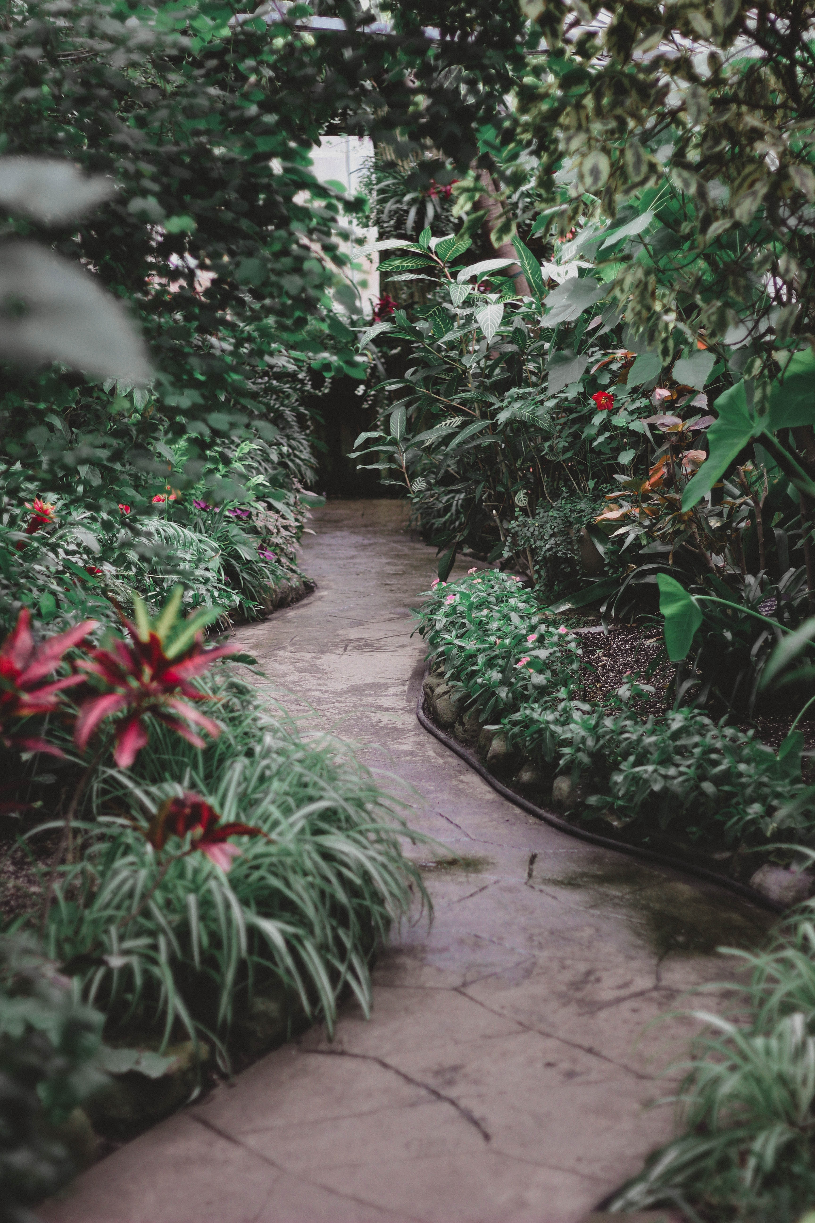 erin-wilson-OtJHCGXwevQ-unsplash