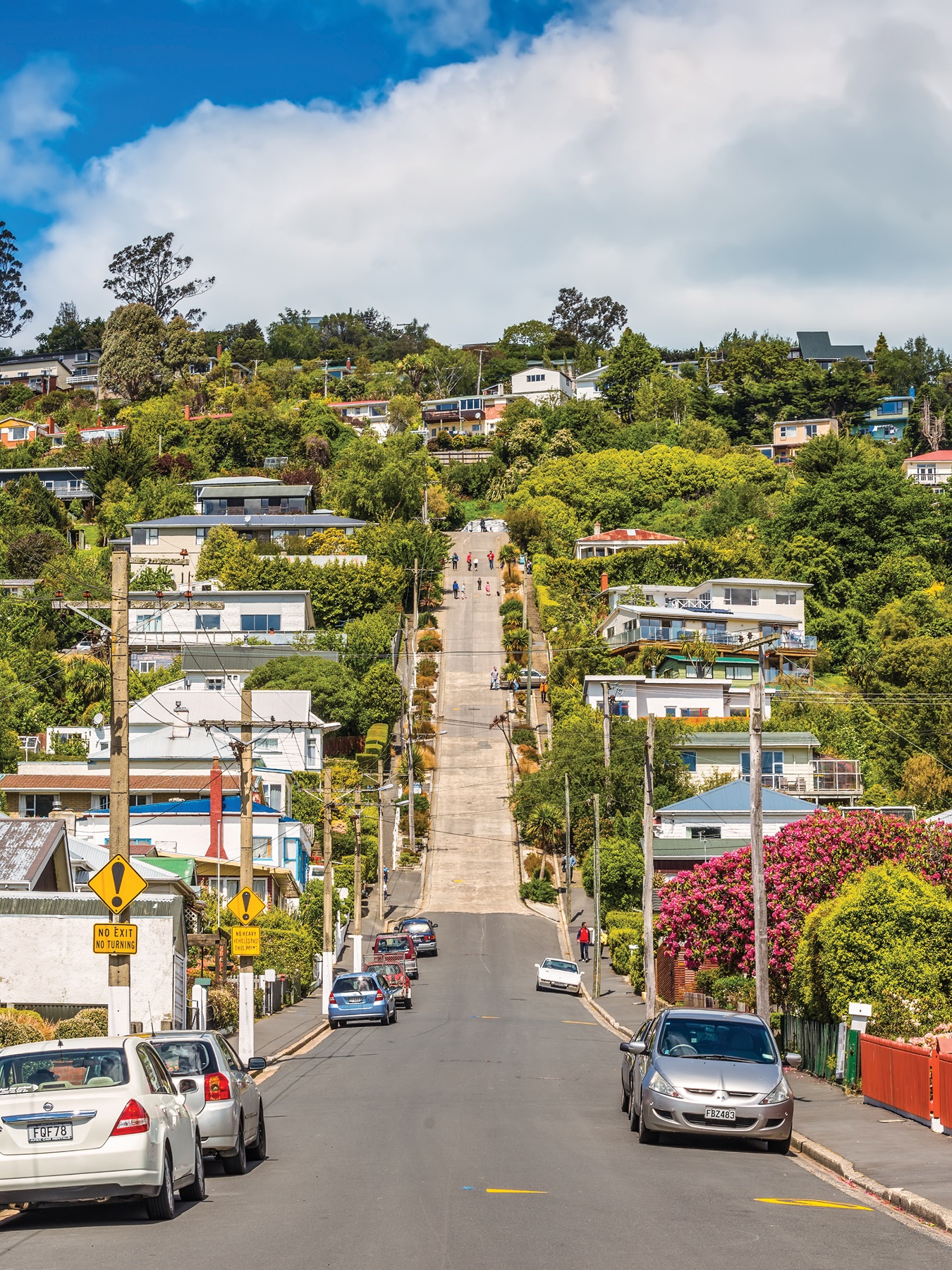 NZ_Sensational South_Dunedin NZ_Sensational South_Dunedin